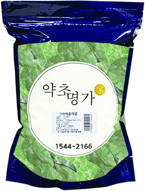 약초명가 그라비올라 잎, 100g, 1개