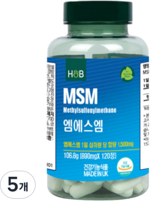 홀랜드앤바렛 엠에스엠 106.8g, 5개, 120정