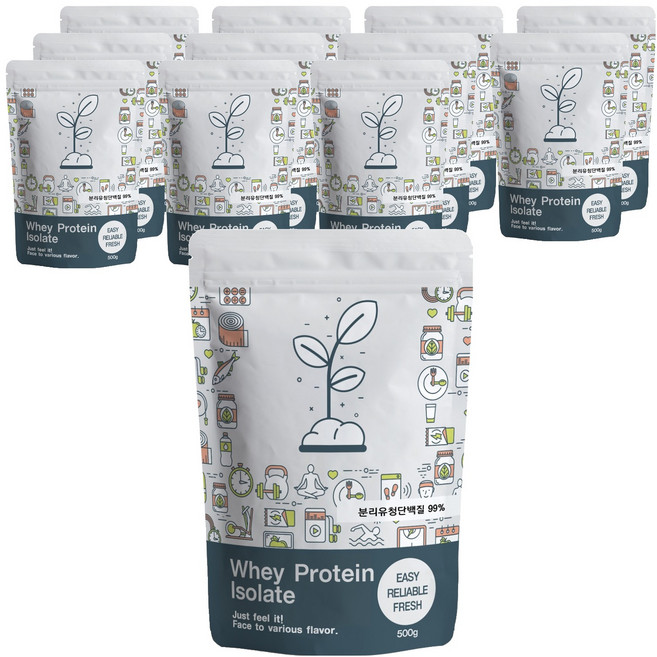 푸른빈 WPI 분리유청단백질 분말 가루, 500g, 12개