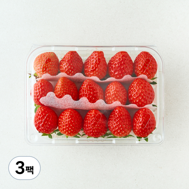 곰곰 설향딸기, 500g(M), 3팩