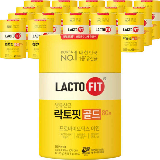 락토핏 정품 골드 80포, 18개