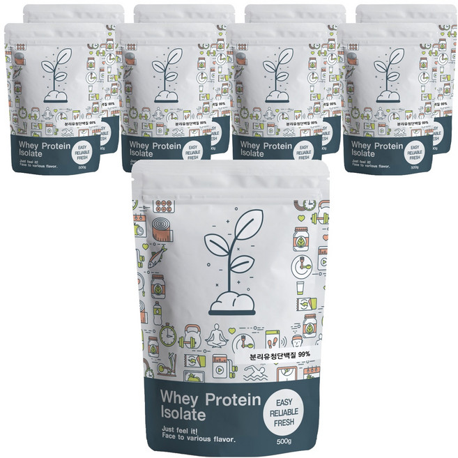 푸른빈 WPI 분리유청단백질 분말 가루, 500g, 9개