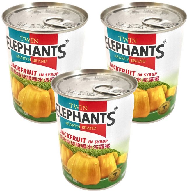 TWIN ELEPHANTS 雙象地球牌 糖水波羅蜜, 565g, 3罐