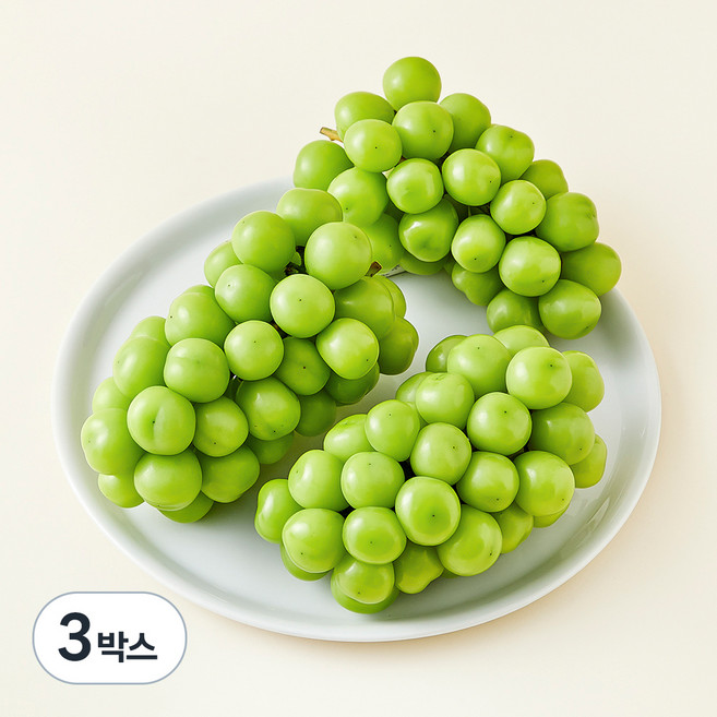중화농협 상주 고당도 샤인머스캣, 1.5kg, 3박스