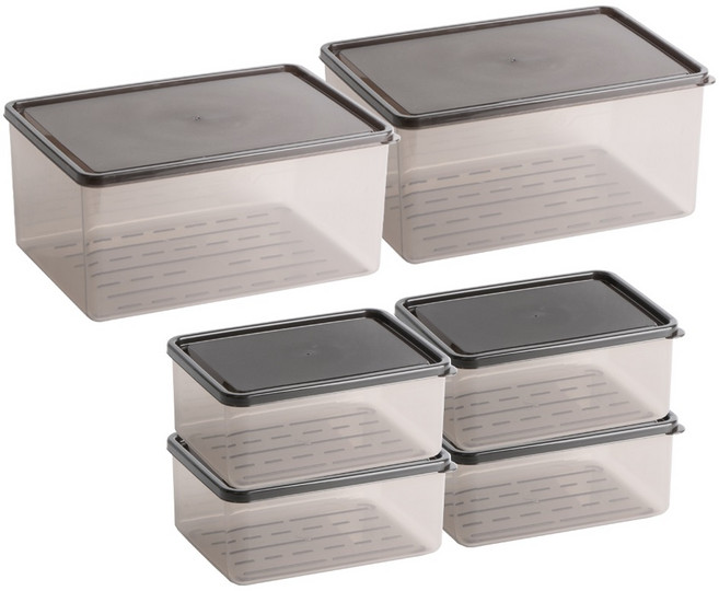 비트리 부드럽게 휘어지는 냉동실정리용기 1L x 4p + 3.8L x 2p, 1세트, 6개