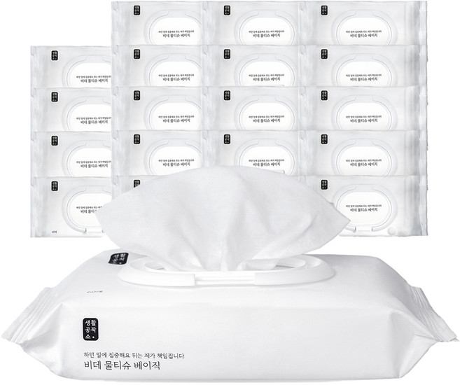 생활공작소 베이직 비데티슈 캡형, 60매, 20개