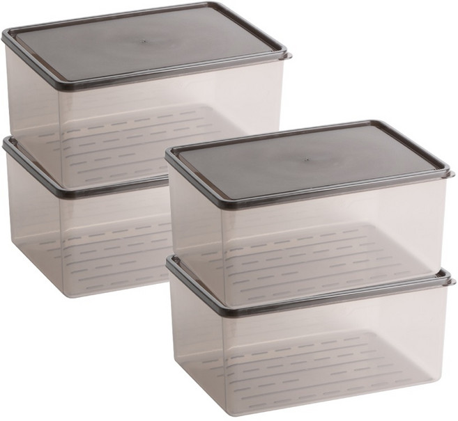 비트리 부드럽게 휘어지는 점보 대용량 냉동실정리용기 3.8L, 1개, 4개