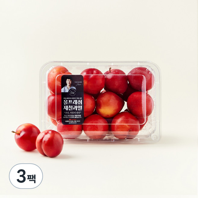 올프레쉬 저탄소인증 와촌 대석자두(중과), 1.2kg, 3팩