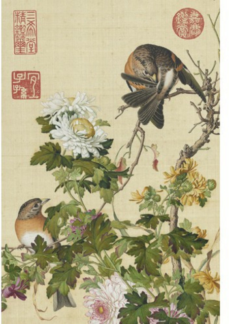 TAIWANG 台旺文創 清郎世寧 仙萼長春-菊花, 1入