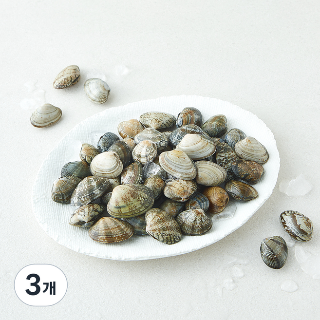 바다림 서해안 생물 참바지락 (냉장), 3개, 400g