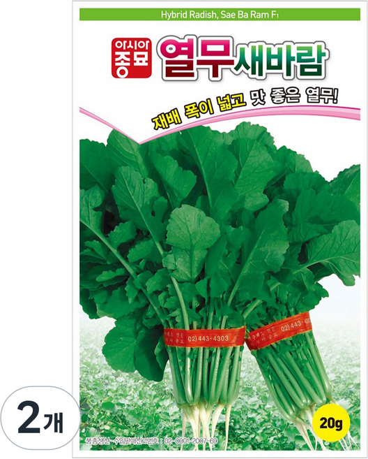아시아종묘 열무 새바람 씨앗 20g, 2개