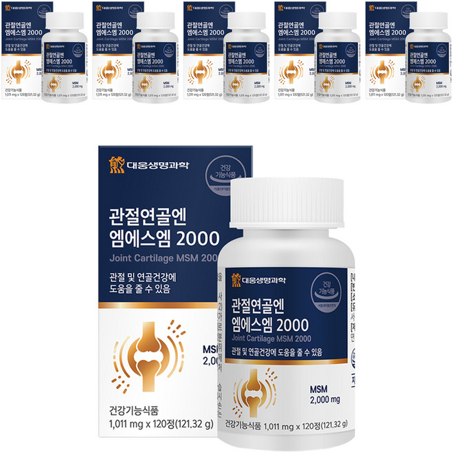 대웅생명과학 관절연골엔 엠에스엠 2000, 120정, 6개