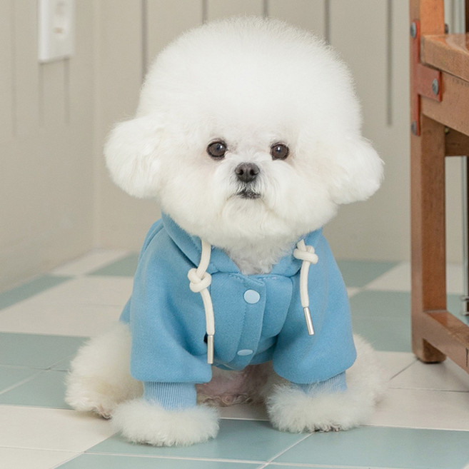 PETSLAND 狗狗雪花愛心刷毛連帽T恤, 1個, 粉藍色