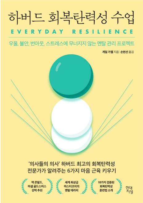 하버드 회복탄력성 수업:우울 불안 번아웃 스트레스에 무너지지 않는 멘탈 관리 프로젝트, 게일 가젤, 현대지성