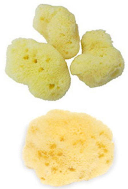 로젠필드 세안용 파인실크 해면 스폰지 3~4cm 3p + 바디용 허니콤 7~8cm 세트, 1세트