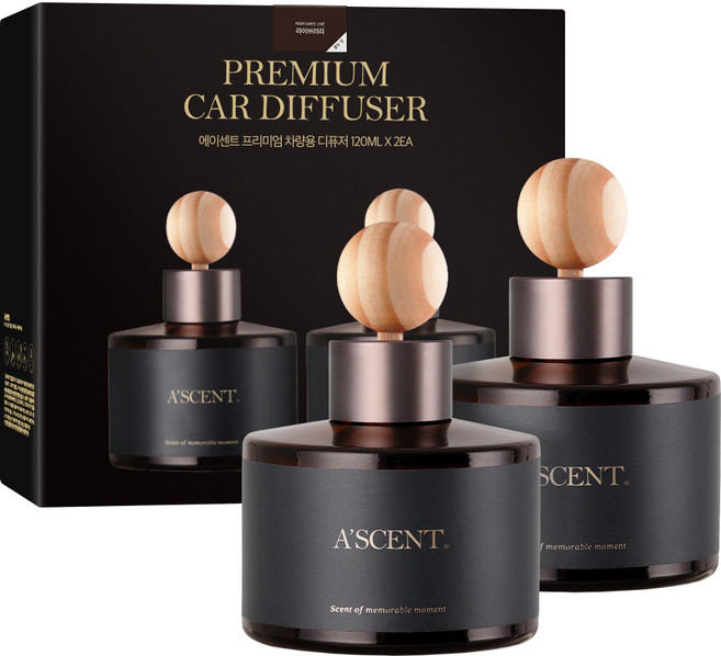 에이센트 차량용 디퓨저 세트, 라이브러리, 2개