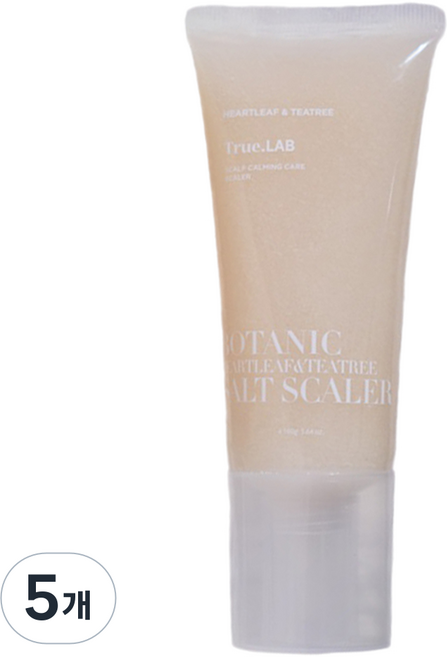 정직한실험실 어성초 티트리 솔트 스케일러, 160g, 5개