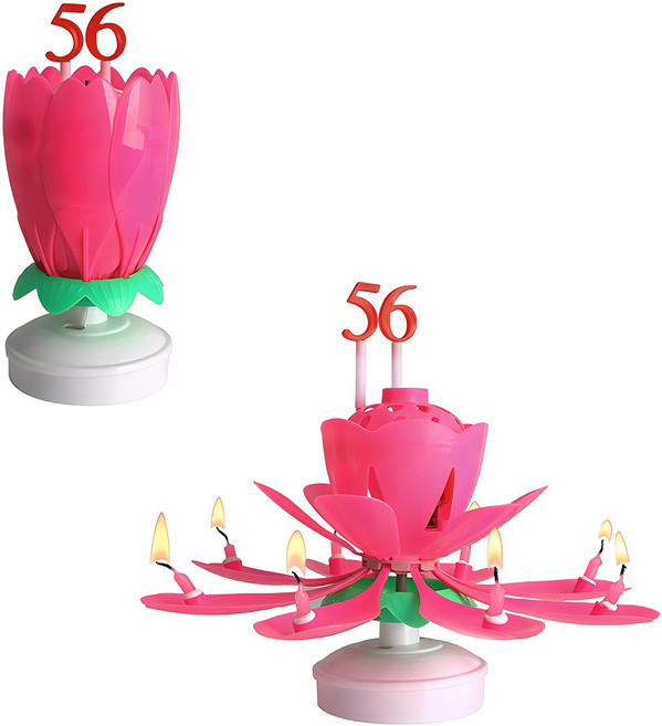 파티라이프 회전 멜로디 생일축하 숫자 연꽃초 + 숫자세트 2p, 핑크, 2세트