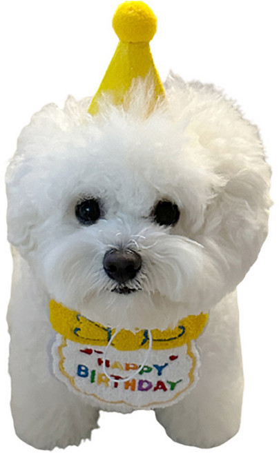 애완동물 생일 축하 스카프+모자 세트, 옐로우, 1세트