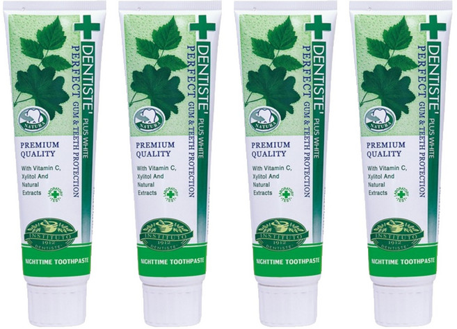 DENTISTE' 牙醫選 台灣公司貨 夜用牙膏 草本牙膏, 4條, 100g