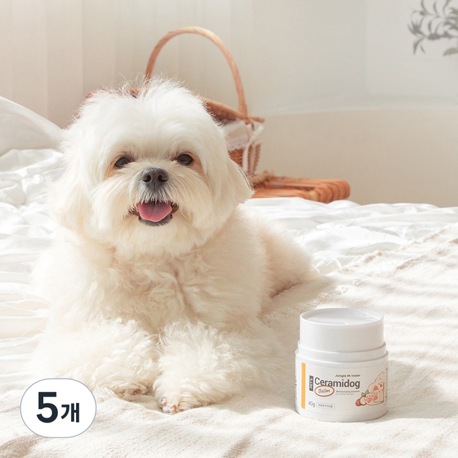 정글몬스터 반려동물 세라마이독 밤, 40g, 5개