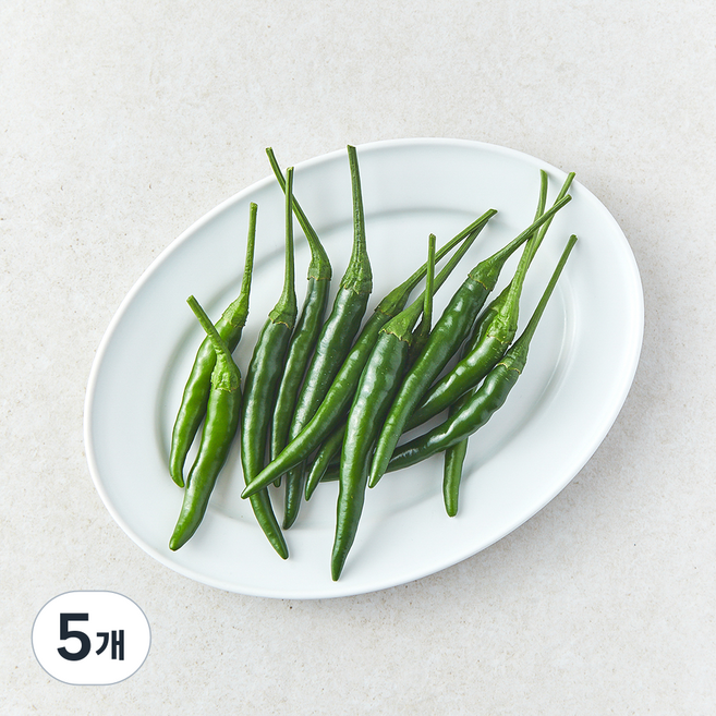 녹색 쥐똥고추(베트남고추), 5개, 50g