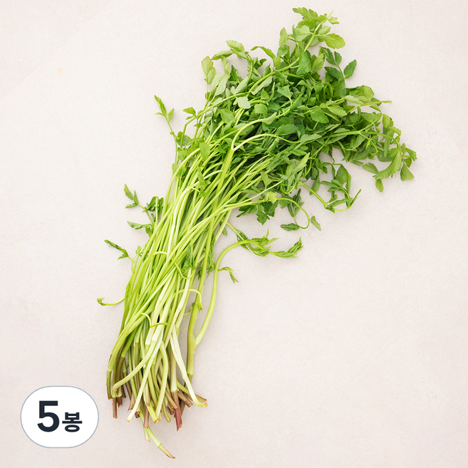 무농약 한재 미나리, 200g, 5봉