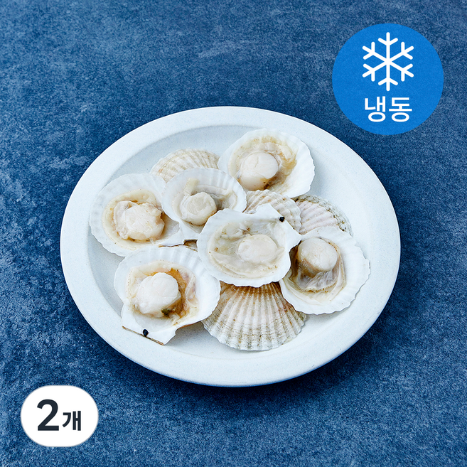 The더착한 반가리비 (냉동), 2개, 720g(36/40미)