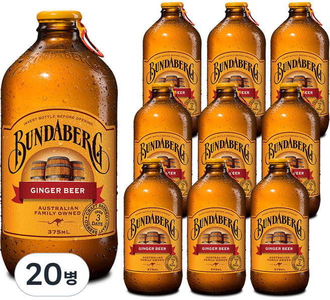 분다버그 진저비어 탄산음료, 375ml, 20개