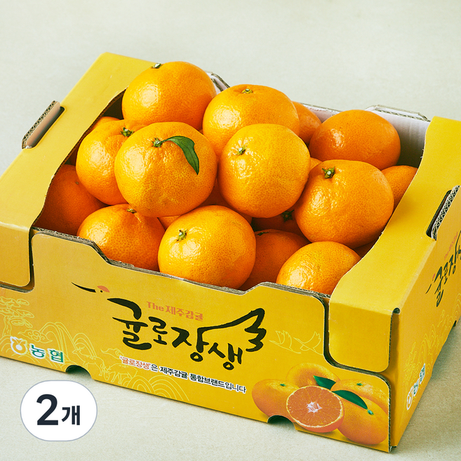 귤로장생 GAP 인증 당도선별 10brix 감귤, 3kg(대과), 2개