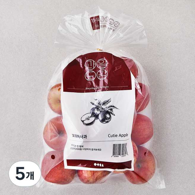 과일도감 꼬꼬마 사과, 1.5kg(11~14입), 5개