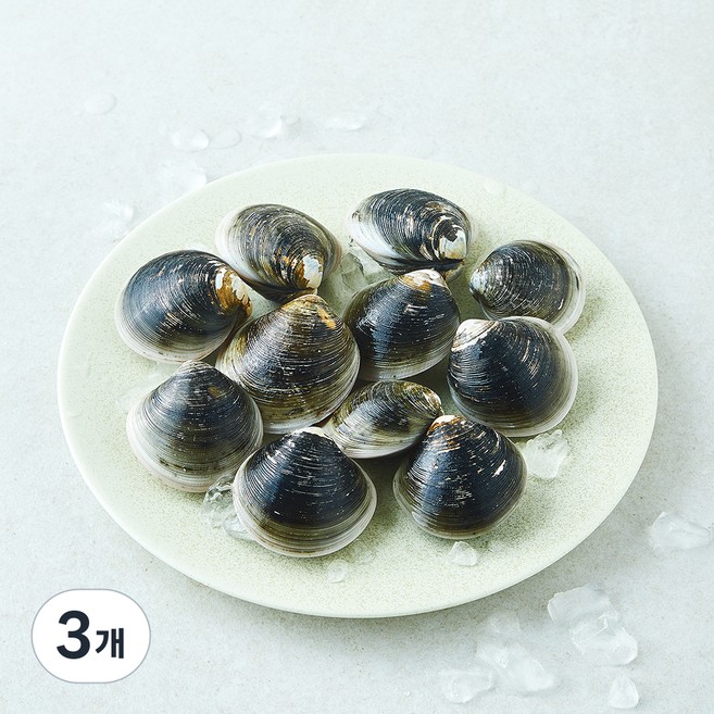 모시조개 (냉장), 3개, 300g