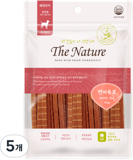 굿데이 강아지 더네이쳐 간식, 연어육포, 100g, 5개