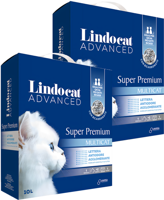 Lindocat 歐洲之星 雙效除臭城市貓砂, 2包, 9kg, 無香