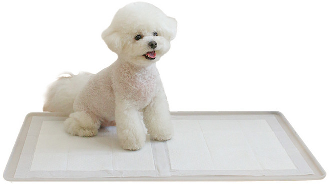 초코펫하우스 퍼펙트 토일렛 강아지 배변판 2.0, 1개
