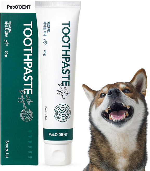 페토덴트 바이옴 반려동물 치석제거 바르는 치약, 70g, 1개