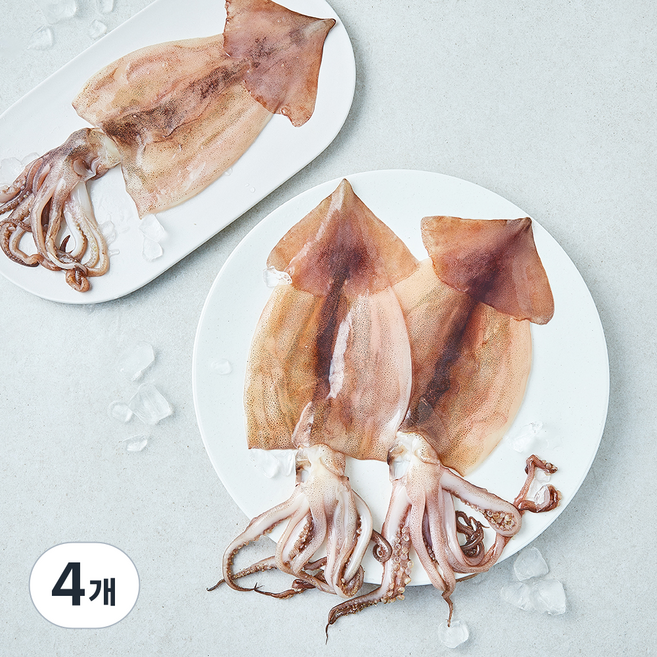 원양산 손질 오징어 중 3미 (냉장), 4개, 480g