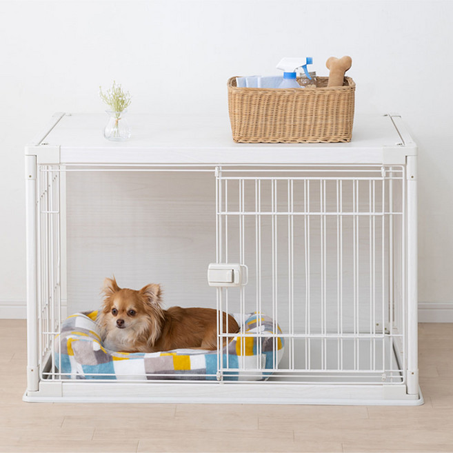 아이리스 강아지 소형 인테리어 우디 서클, 오프 화이트, 1개