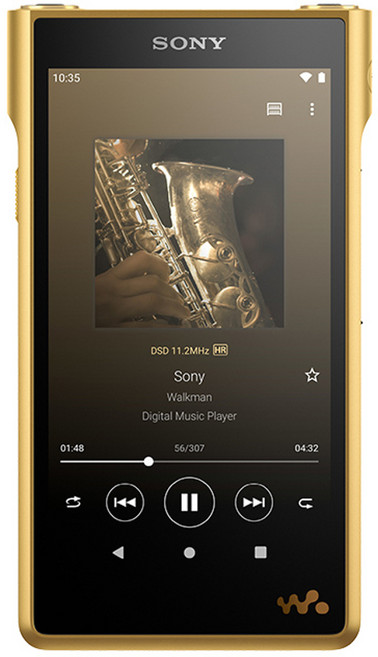 소니 워크맨 256GB, NW-WM1ZM2, 골드
