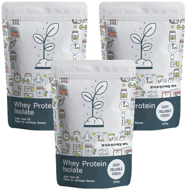 푸른빈 WPI 분리유청단백질 분말 가루, 500g, 3개