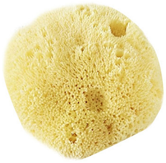 뷰티풀스킨 아기 목욕용 해면 라지, 1개