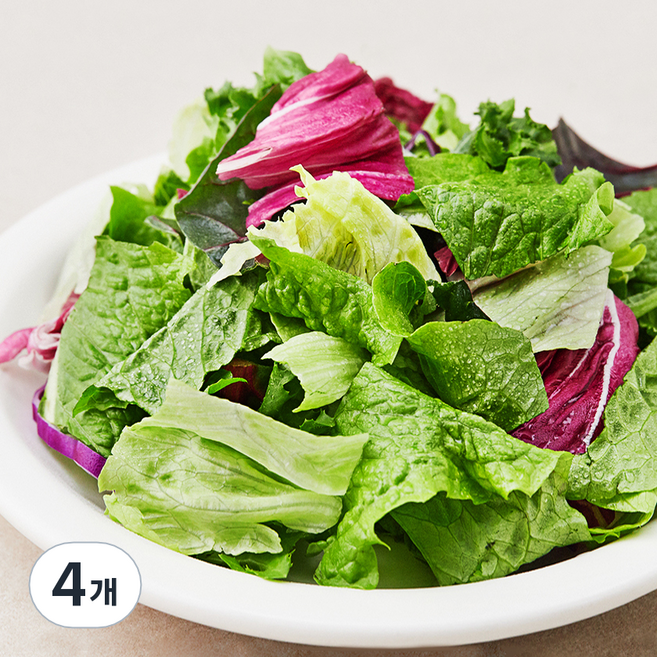 팜플래닛 신선함이 오래가는 그린샐러드믹스 파우치, 250g, 4개