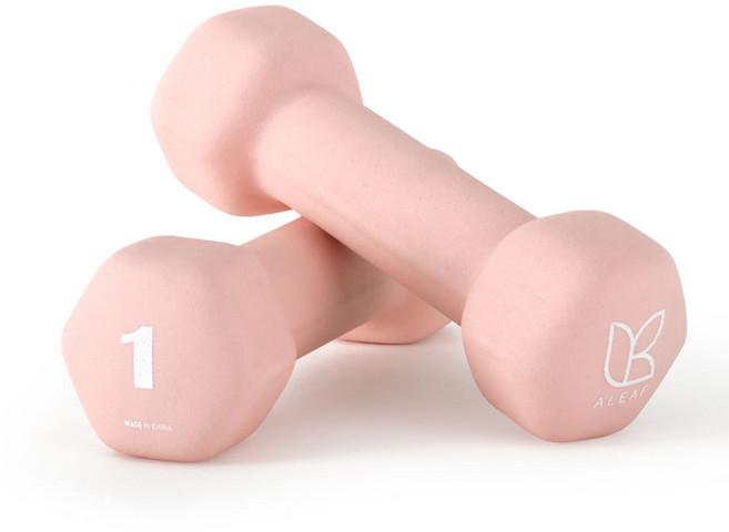 아리프 네오프렌 선인장 아령, 1kg, 2개