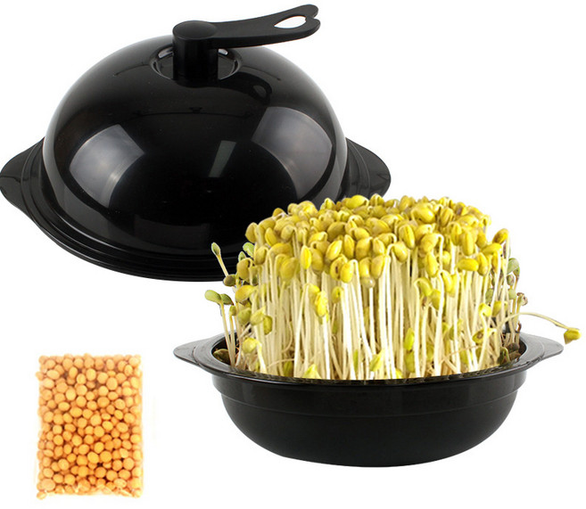 콩나물재배기 + 노란 콩나물콩, 1세트