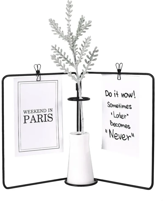 eclat 創意北歐桌上迷你盆栽萬用擺設 框架(21 x 31.5cm) + 花(高 24~37cm) 400g, 黑色 + 鹿角草, 1組