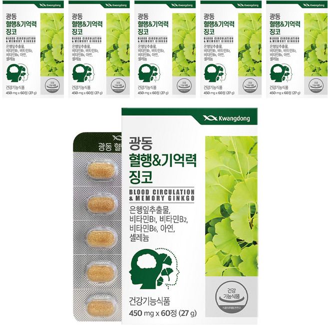 광동 혈행&기억력 징코, 60정, 6개