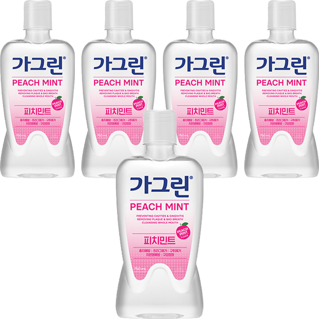 가그린 피치민트 구강세정제, 750ml, 5개