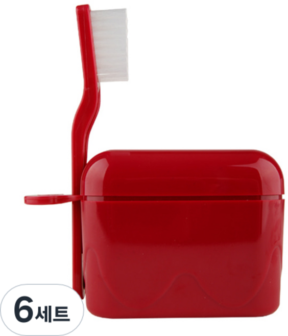 위덴 틀니칫솔 + 틀니케이스 레드 WD727, 6세트