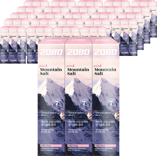 2080 퓨어치약 핑크마일드민트향, 120g, 75개