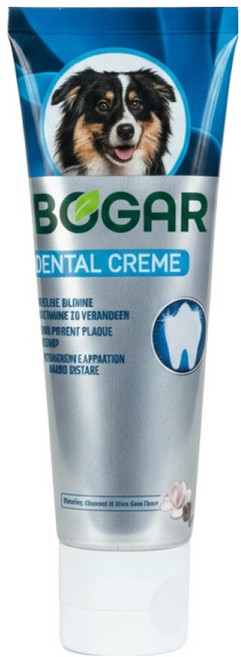 보가 덴탈 크림 치약, 75ml, 1개